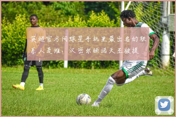 英超官方问球星手机里最出名的联系人是谁，汉密尔顿诺天王被提
